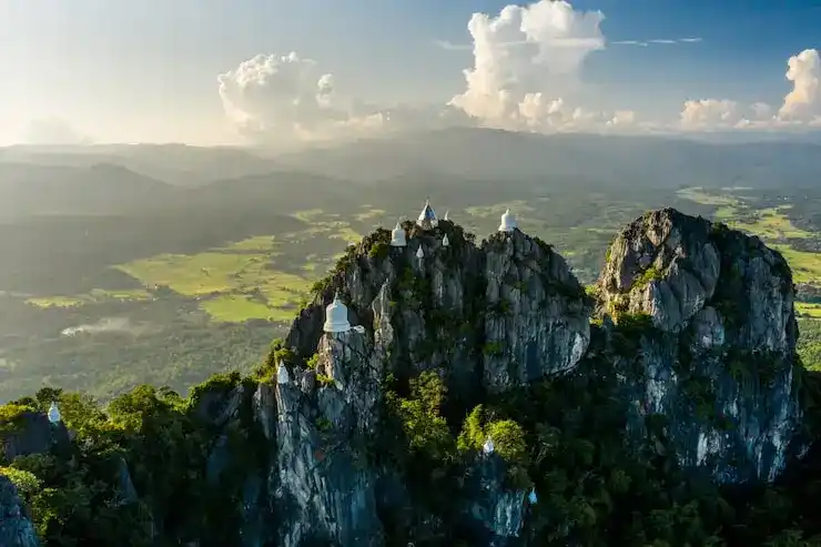 如何确保新西兰移民申请材料的真实性？避免被移民局核查驳回？