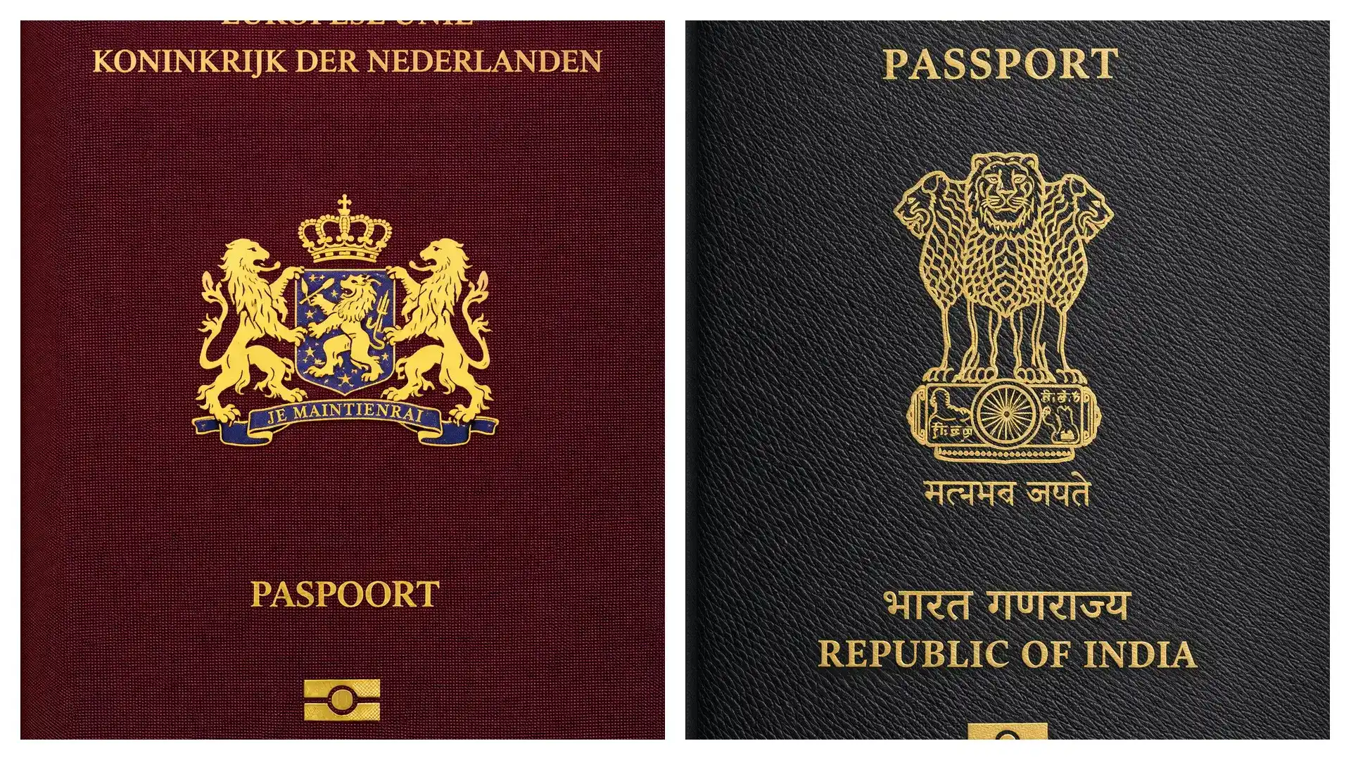 2026葡萄牙移民：基金50万 vs 文化捐赠25万 vs 科研投资50万，哪个更划算？