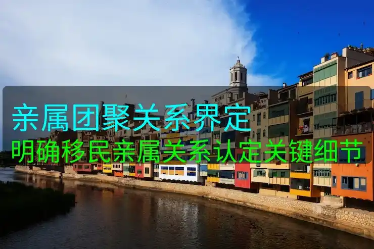 德国移民政策对中国公民的影响，中国人移民德国的挑战与机会