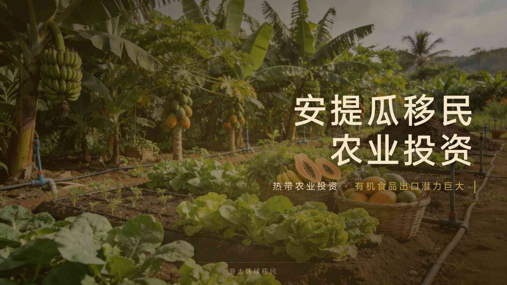 安提瓜和巴布达第二护照资金来源怎么证明，最容易被打回的几点