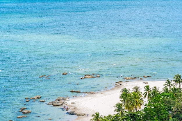 塔纳岛Tanna Island Vanuatu传统美食的移民厨房复刻教程
