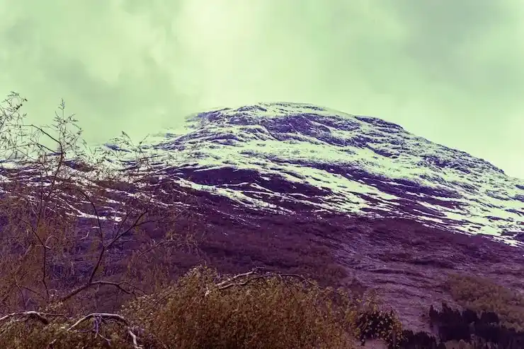 移民西班牙的政策与常见问题解答