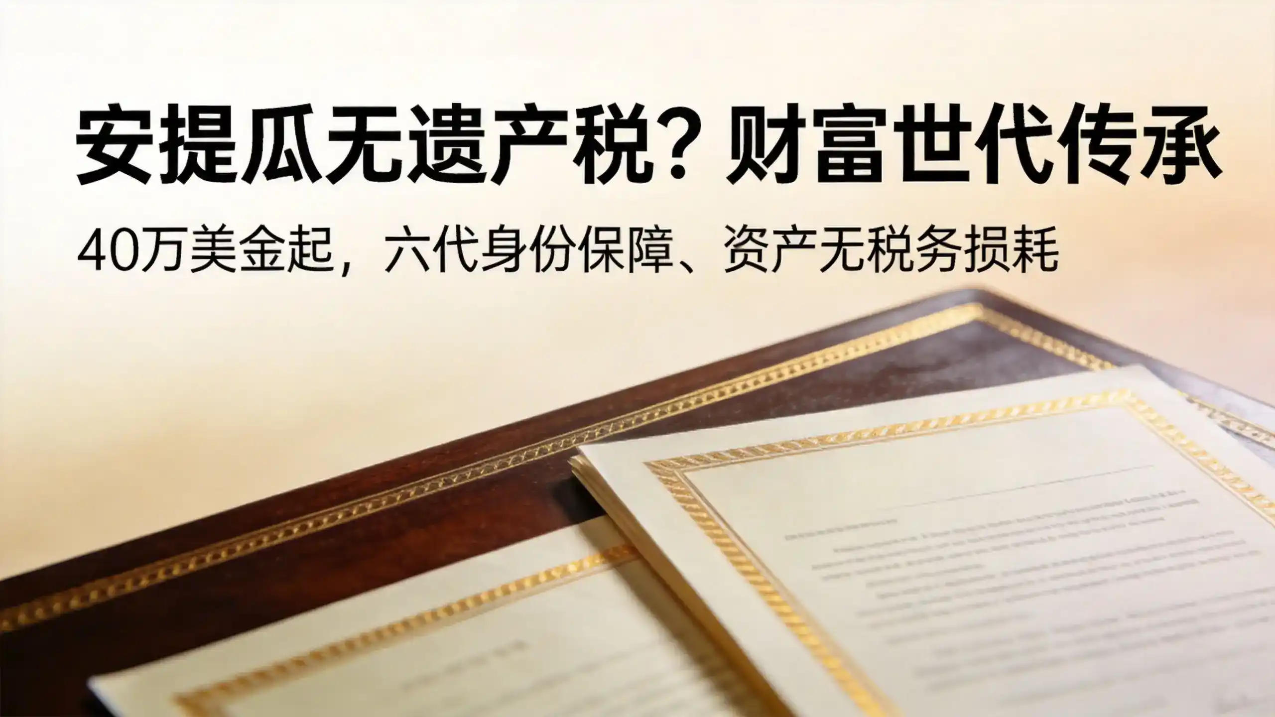 23万美金捐款安提瓜利弊