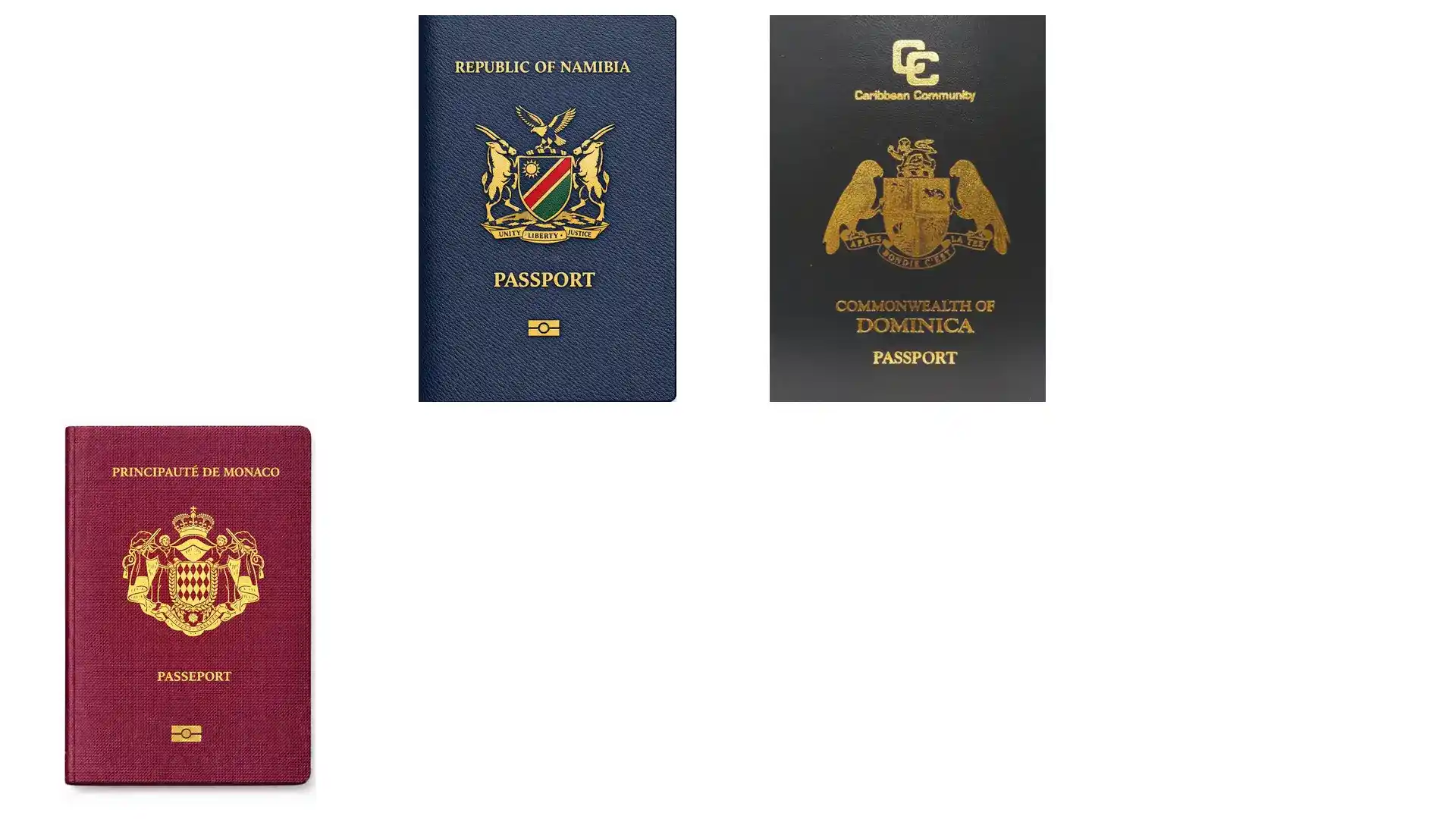 丹麦移民高福利典范，公立医疗免费，教育全程免费，大学生可领补贴