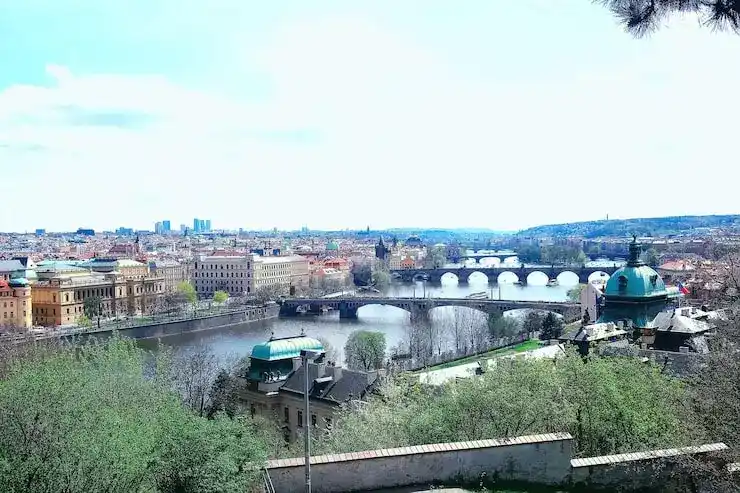 圣基茨捐款移民材料捐赠证明与背景审查文件