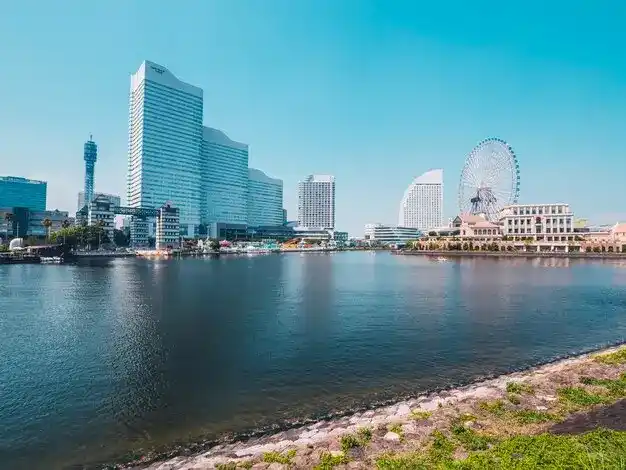 2026年香港高才通费用和政策：续签要求