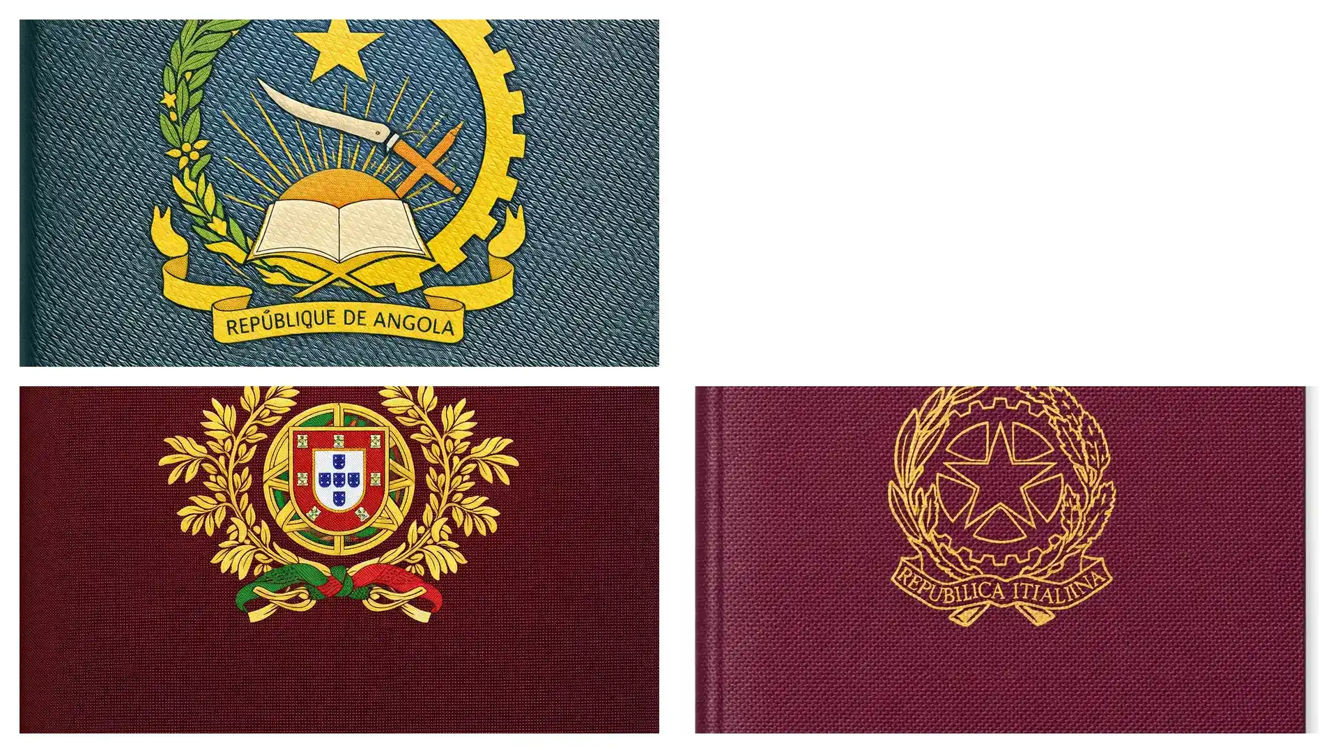 埃及移民真实成本180万￥