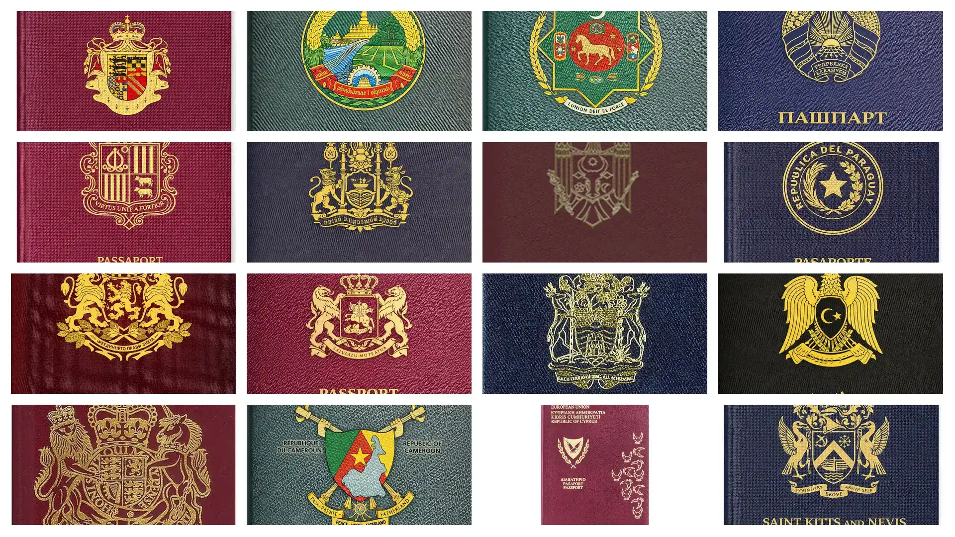 加州白卡移民资格分类速查表：一张图看懂谁能申请、谁能续保