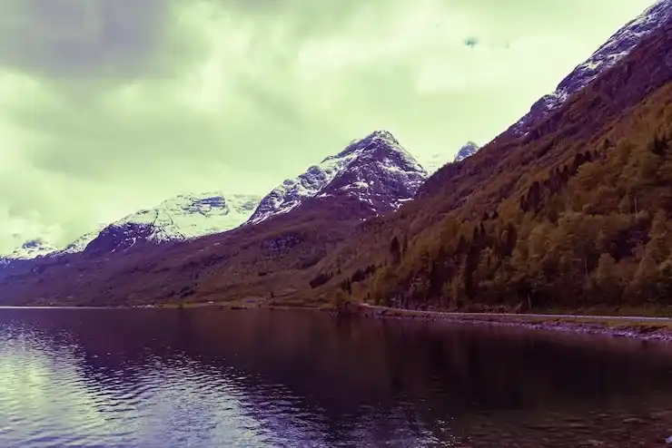 怎么申请移美国？全流程详解