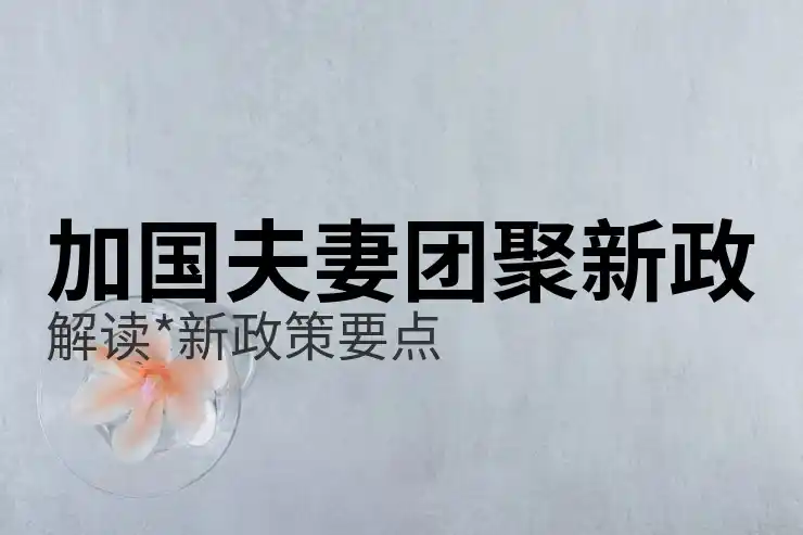 加拿大移民局官网IRCC申请进度查询教程与时间线