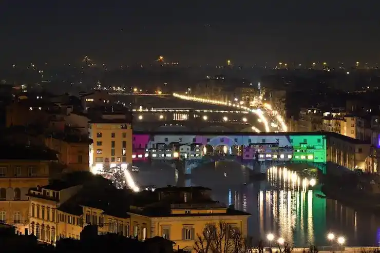 申请人如何查询爱尔兰移民申请的实时进度？官方查询链接是什么？