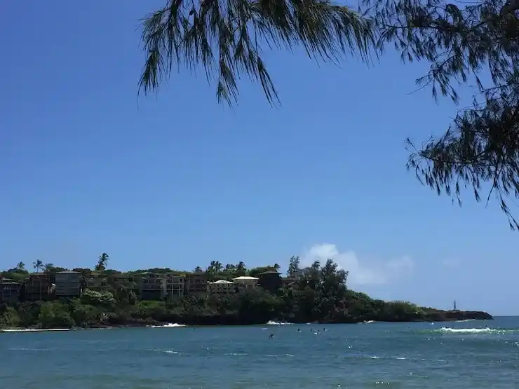 瓦努阿图真的适合常住吗？来看看那里的真实生活环境