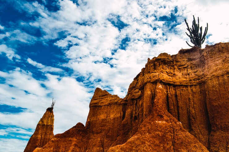 新加坡的国际学校资源如何？学费大概是多少？