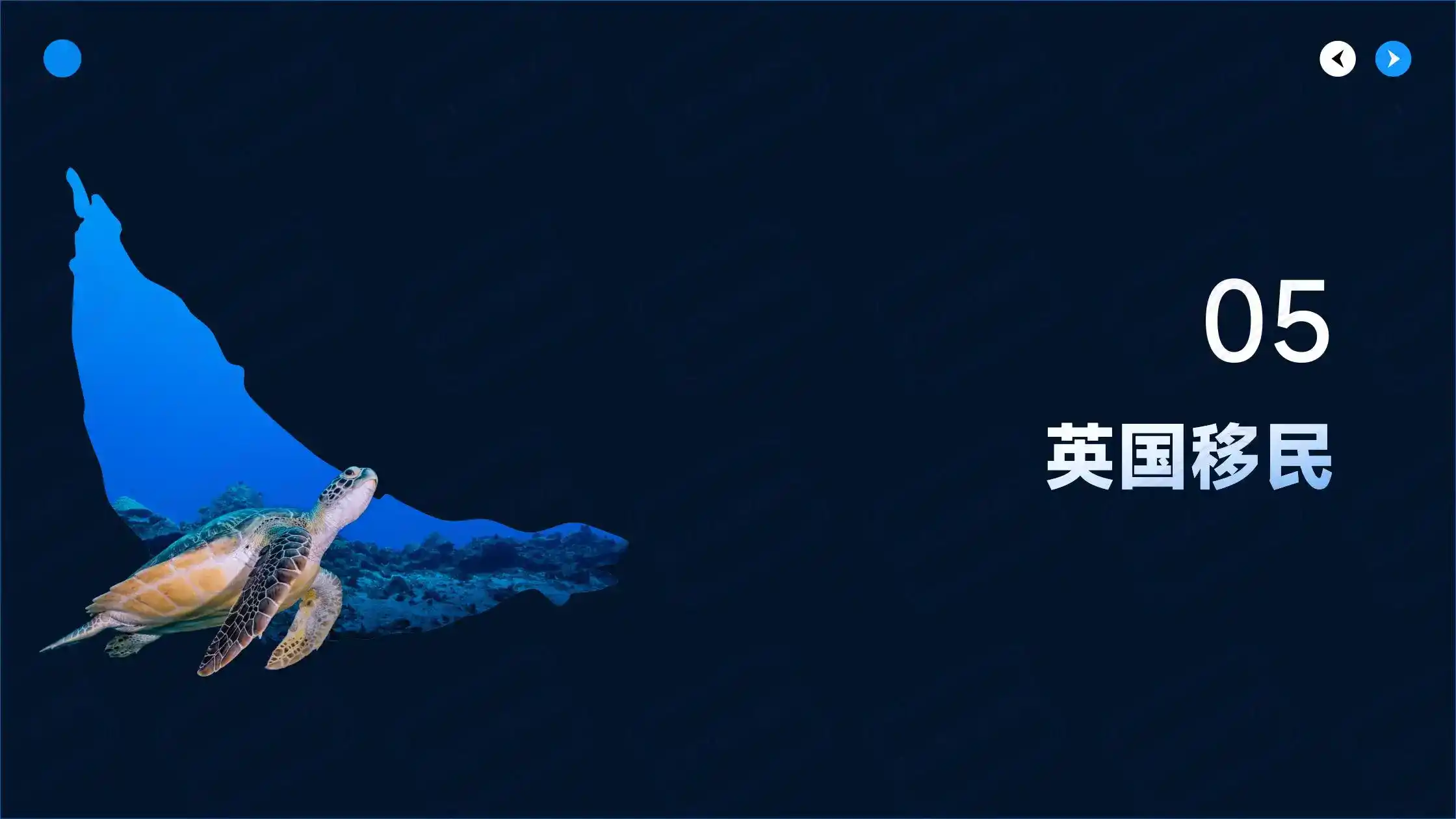 瓦努阿图护照移民费用2026：护照免签英国吗？