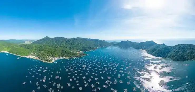 塞浦路斯移民新政策与费用分析