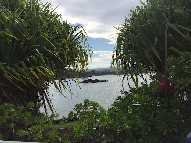 Vanuatu