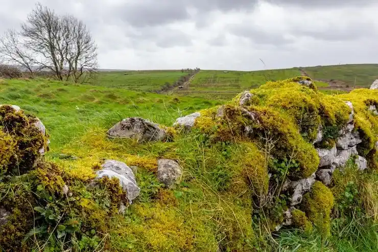 巴拿马的移民政策稳不稳定？这么多年没啥大变动
