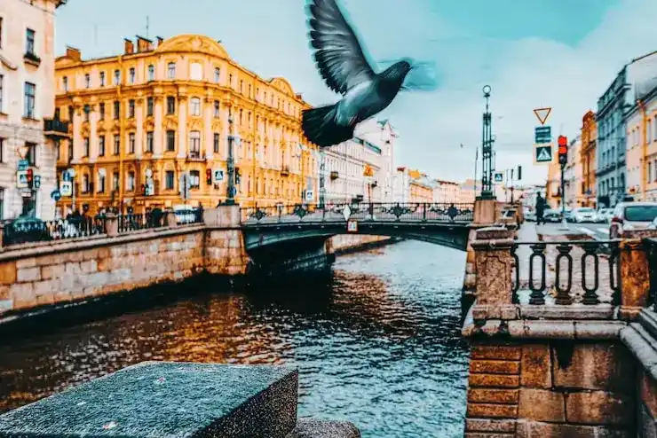 希腊移民购房的具体要求与流程