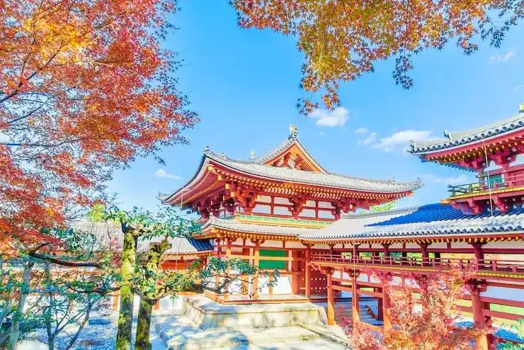 选择澳大利亚当移民的税收政策与社会福利