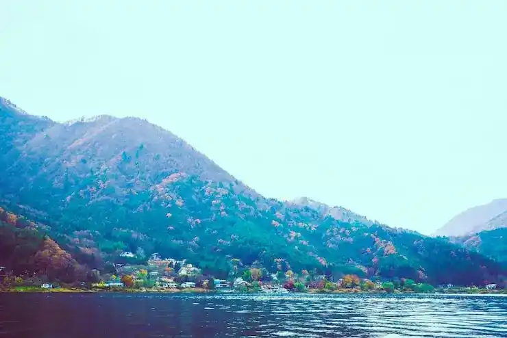 如何移民香港：详细流程解析