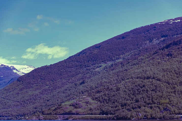阿根廷移民