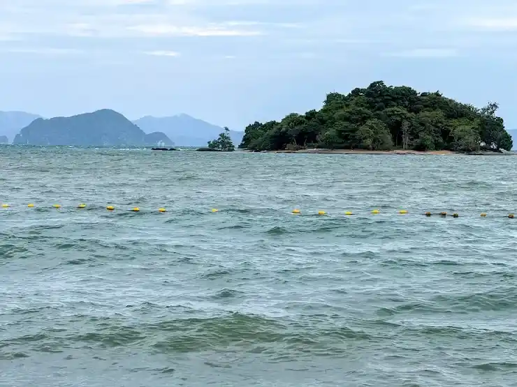 法國移民法律陷阱解析，避免簽證申請中的常見錯誤
