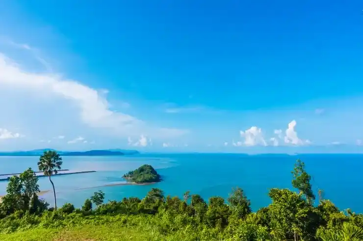 奥地利移民