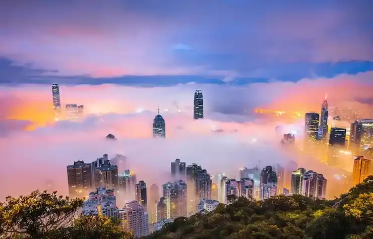 格林纳达单人捐款移民实际费用多少？