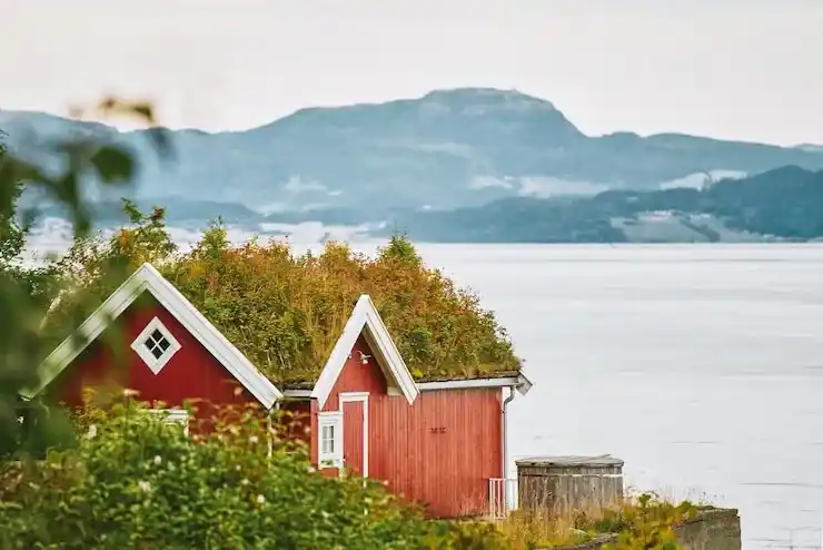 新西兰移民需要的条件与申请流程详解