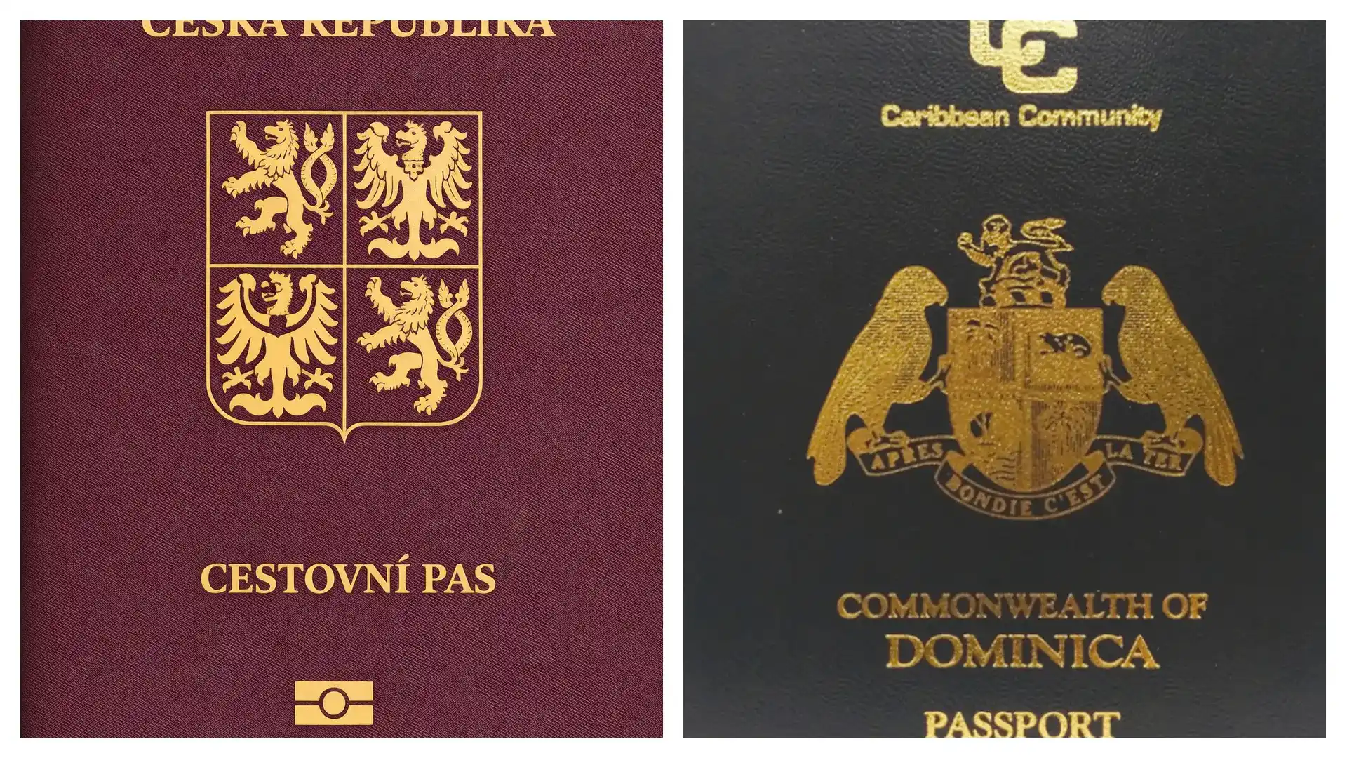 爱尔兰捐款移民条件及费用：40万欧元团捐，无居住要求