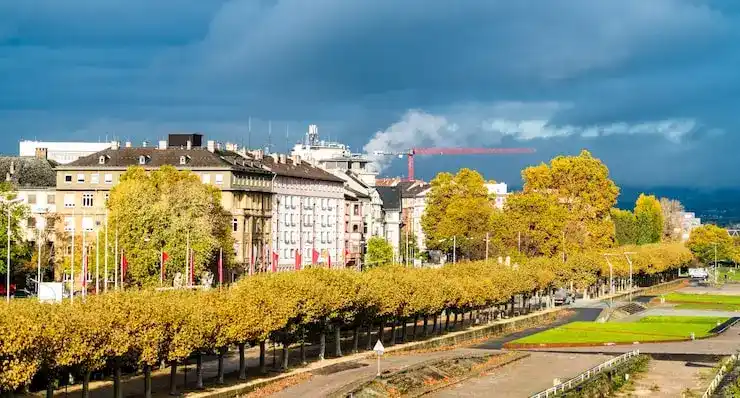 圣基茨移民房产中介虚假宣传识别