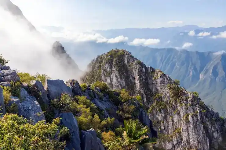 申请移民葡萄牙