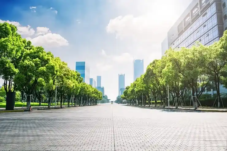 马耳他医疗体系解析：为潜在移民提供的保障