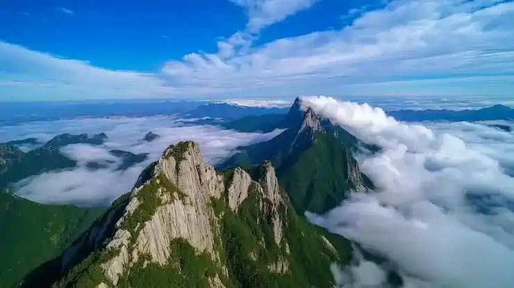 新加坡入籍要求与条件详解