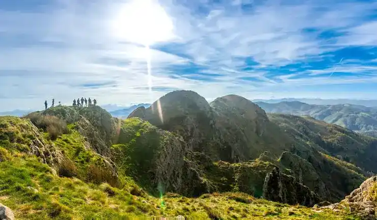 创业移民项目的申请过程与资金要求