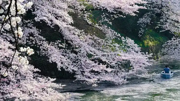 英国投资移民的资金要求与申请步骤