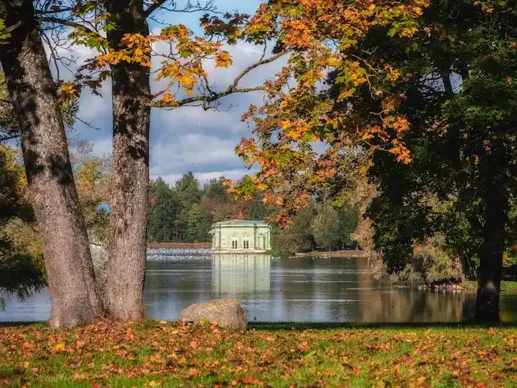 哥斯达黎加投资移民，投资款到位确认函，递交申请前15天