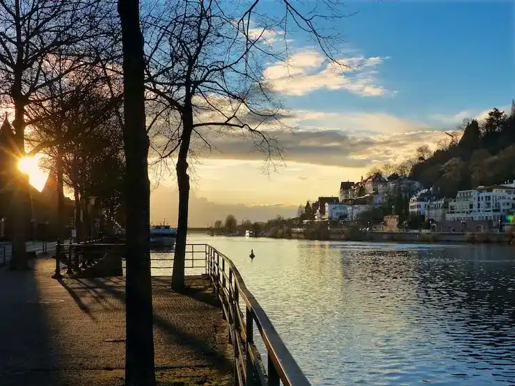 新西兰的食品安全和饮用水质量是否有保障？相关监管机构是什么？