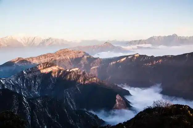 瓦努阿图随行家属限制多，圣多美和普林西比能带上祖父母吗？