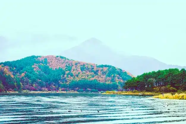 圣卢西亚护照：免签140+国