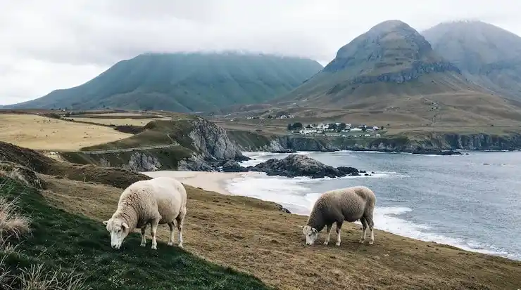 瑞典当移民目的地的税务优惠与生活质量