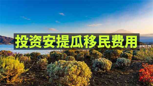 安提瓜移民护照办理周期与流程详解