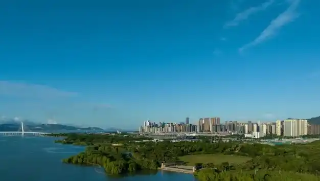 移民瓦努阿图的中介怎么避免选择误区？