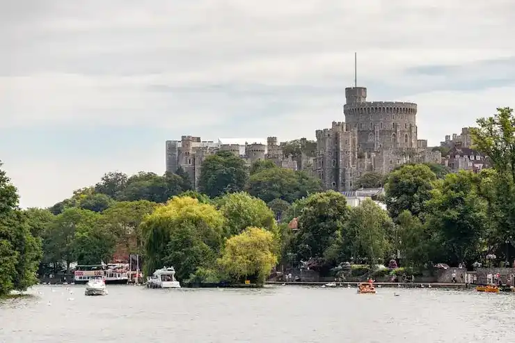 法国移民申请被拒后，申请费和手续费可以退还吗？