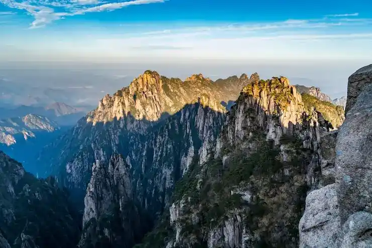 全球移民政策改变与未来发展趋势