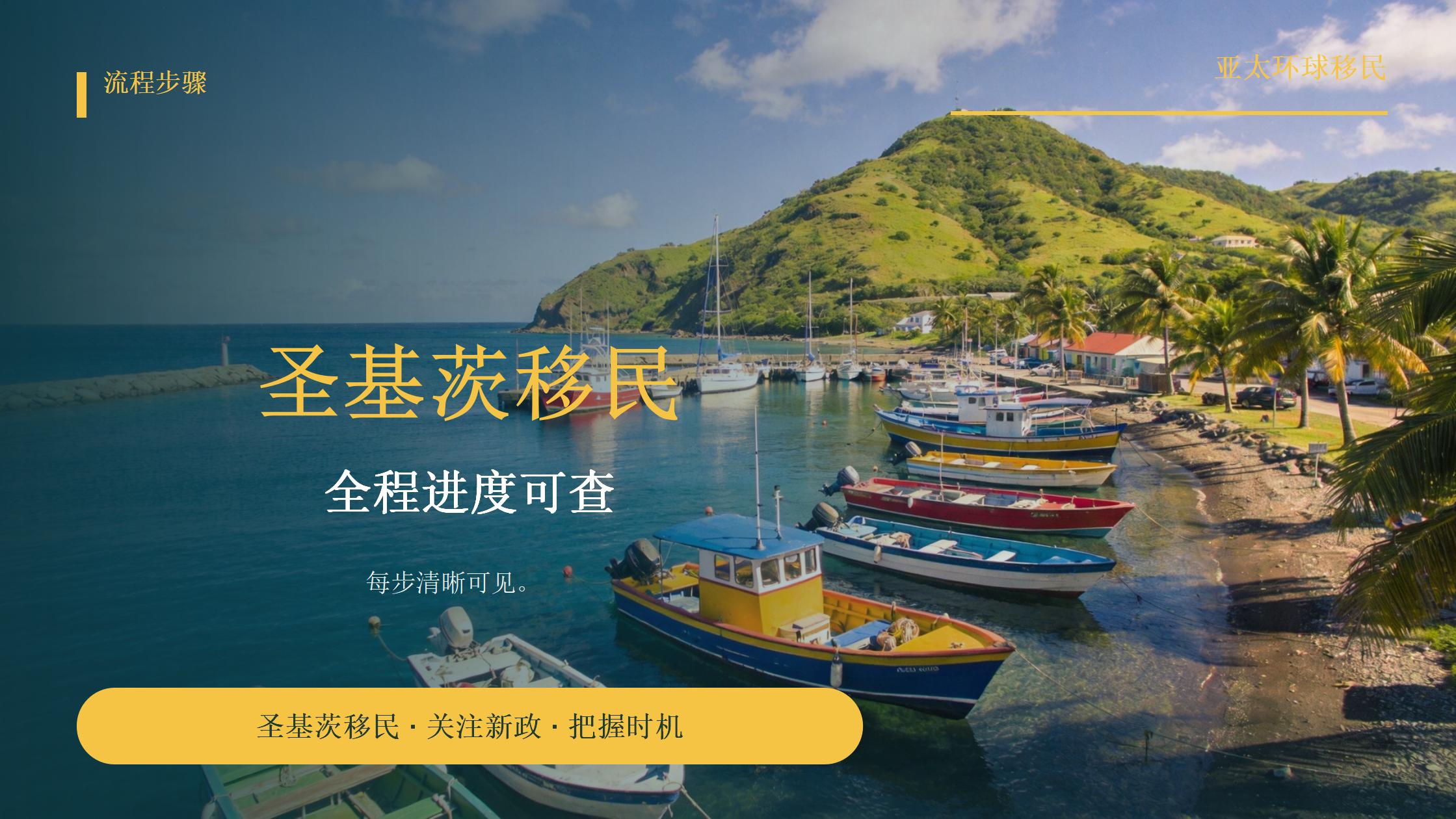 圣基茨投资入籍的随行子女认定：年龄、在读与经济依附关系的材料逻辑