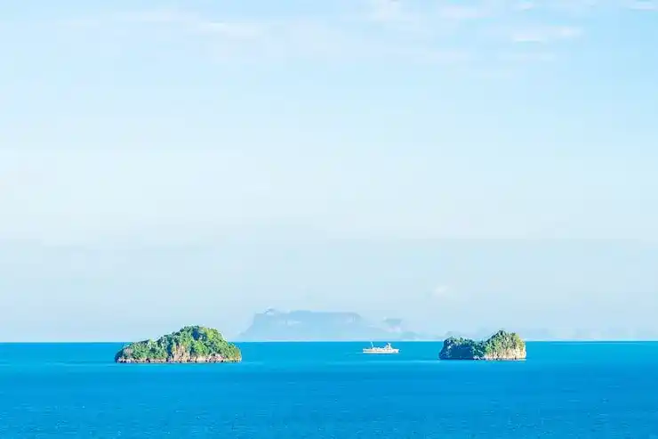 选择移民时怎样确保资金的合规性？