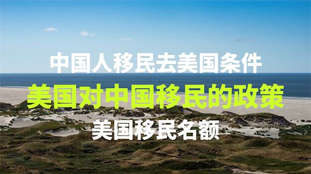 出国移民中介如何帮助申请人选择适合的移民国家和项目？