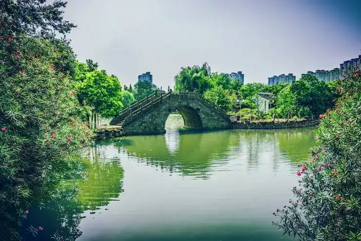 移民投资