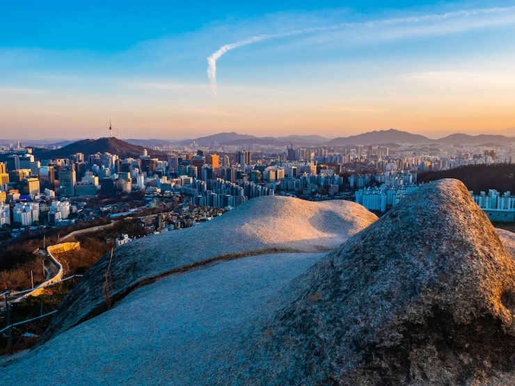 荷兰移民政策2025技术移民积分制调整与家庭随行要求